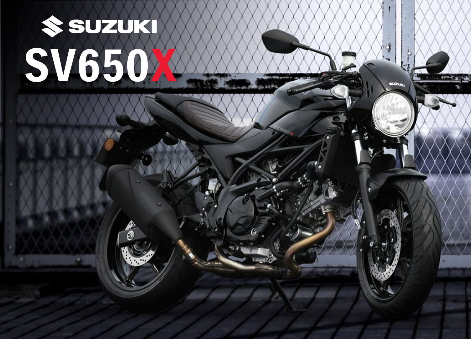 The Category Collection - Modern Classics - Suzuki SV650X 2022